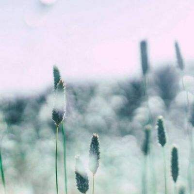 炼爱手游免费下载