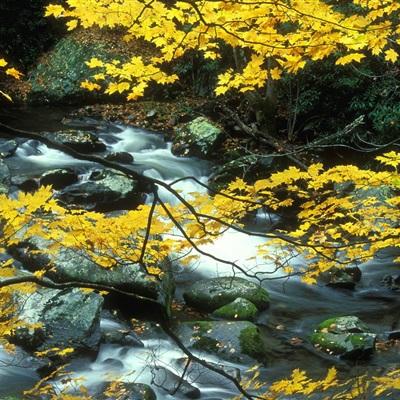 乐发lv彩票app下载安装